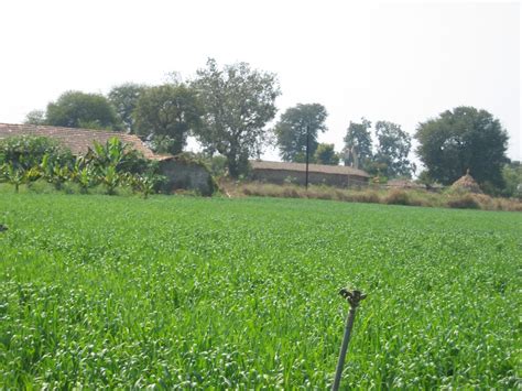 زمین در شمال