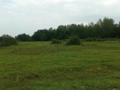 خرید زمین در شمال