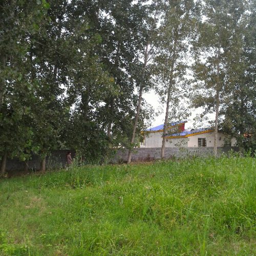 خرید زمین در شمال