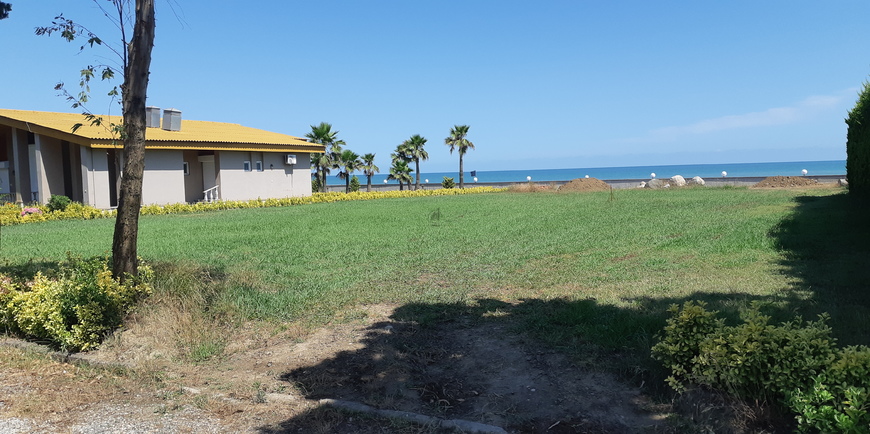 زمین در شمال