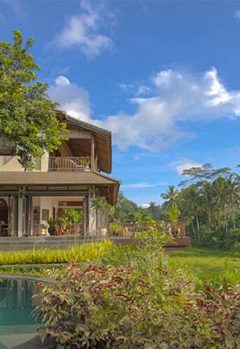 خرید زمین در شمال