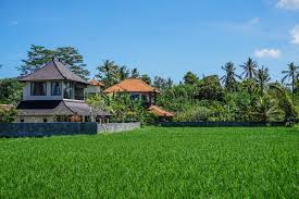 خرید زمین کشاورزی در شمال