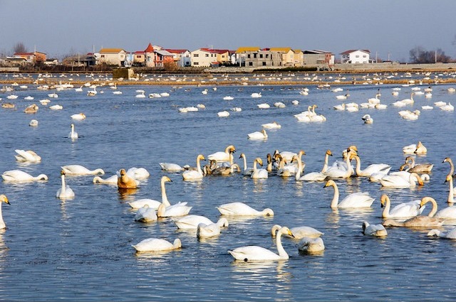 آب بندان سرخرود - املاک جهان