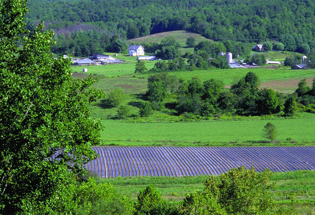 انواع زمین های شمال کشور