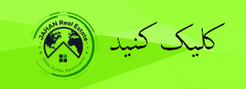 کلیک-کنید